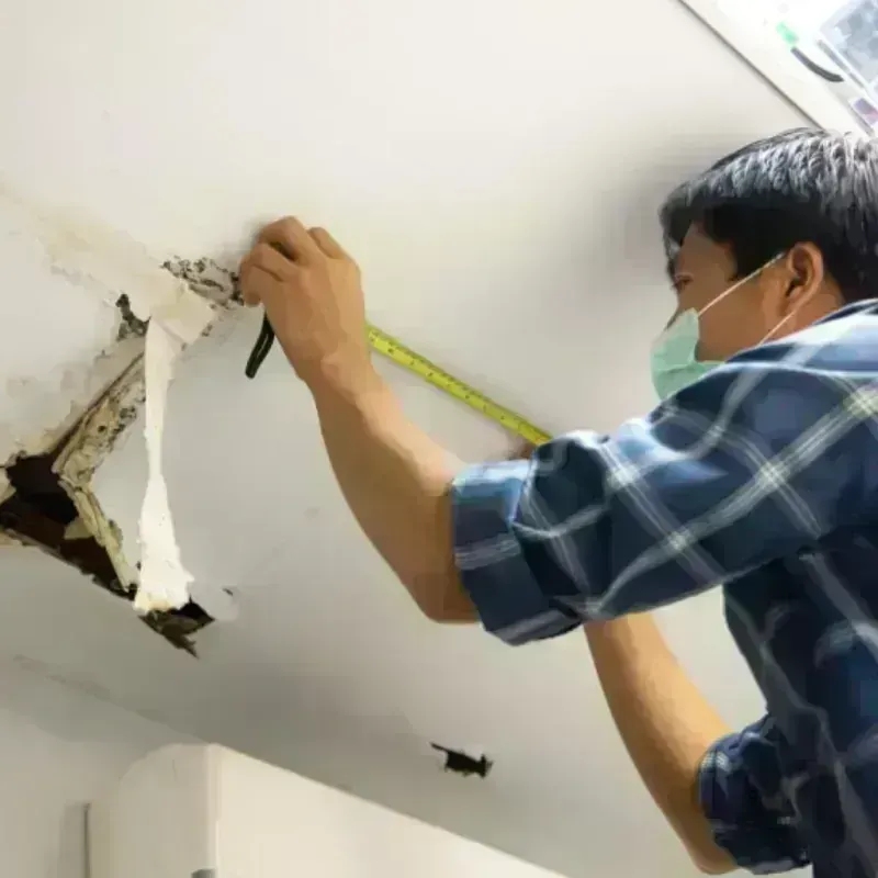 Ceiling And Wall Water Damage in Marin County, CA