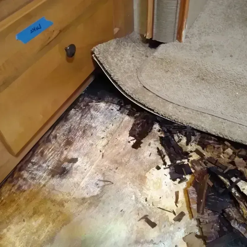 Wood Floor Water Damage in Marin County, CA